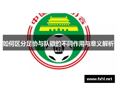 如何区分足协与队徽的不同作用与意义解析