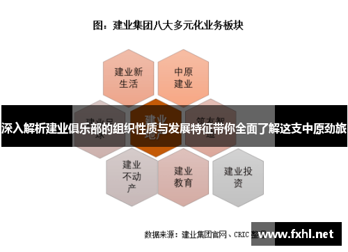 深入解析建业俱乐部的组织性质与发展特征带你全面了解这支中原劲旅